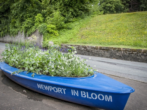 Newport Summer 2015