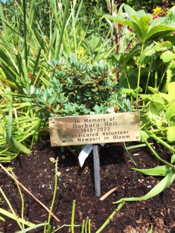 Barbara's Plant, Boat Brae Boat.