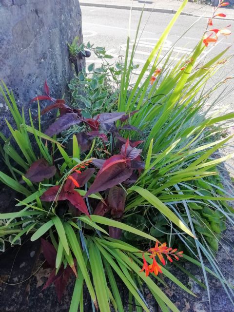 Newport 2021 Horse Trough