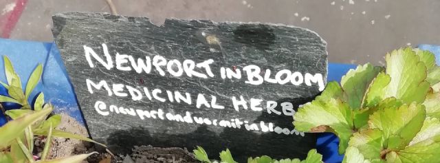 Newport sign 2021
